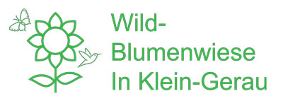 Nachhaltigkeit der Pflanzentheke GmbH Wildblumenwiese
