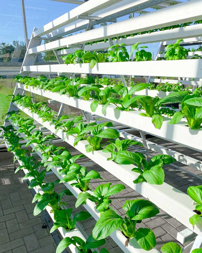 vertical farming system
