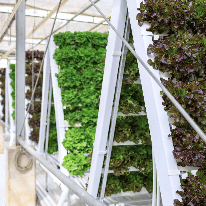 farm-impression-3 Anbausystem Farm vertikal