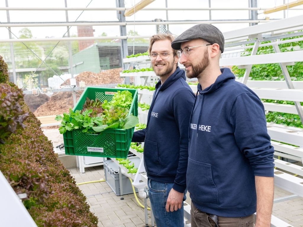 Vertikale Landwirtschaft - Verbraucherkiste mit Gemüse aus dem Hydroponiksystem