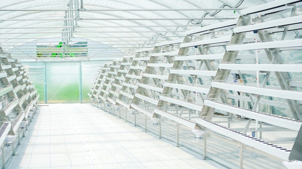 newsletter flexfarm gruengruen