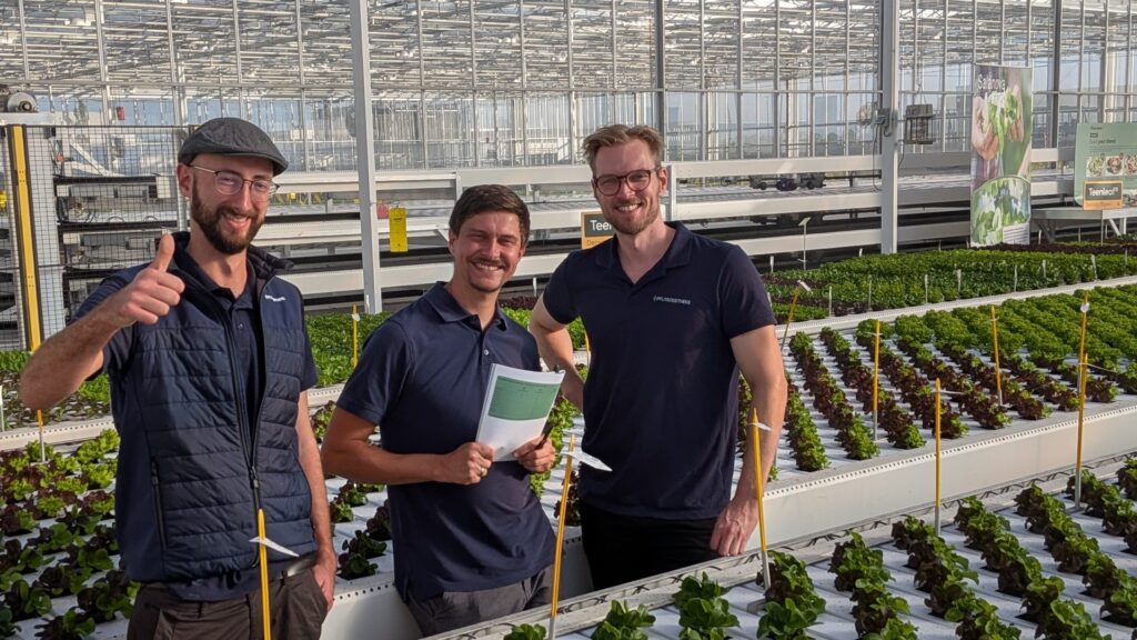 rijk zwaan salatsorten hydroponik 2026